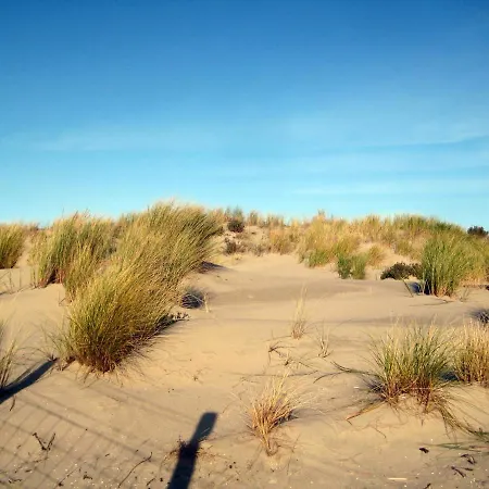 Vakantieappartementen Stuifkenszand Hoek van Holland
