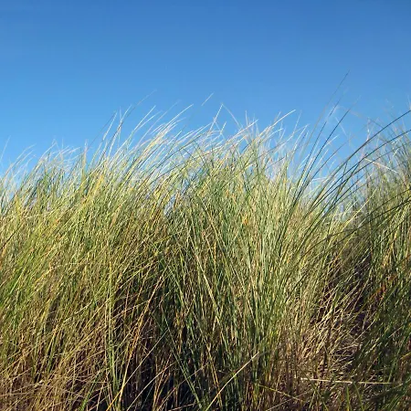 Vakantieappartementen Stuifkenszand *