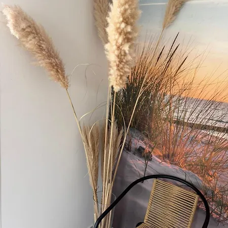 Vakantieappartementen Stuifkenszand *