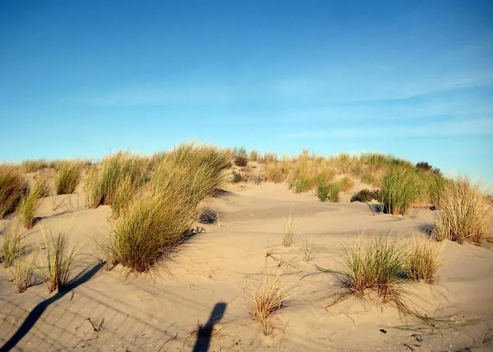 Vakantieappartementen Stuifkenszand Hoek van Holland
