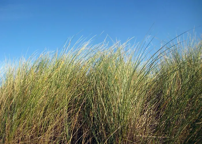 Vakantieappartementen Stuifkenszand *