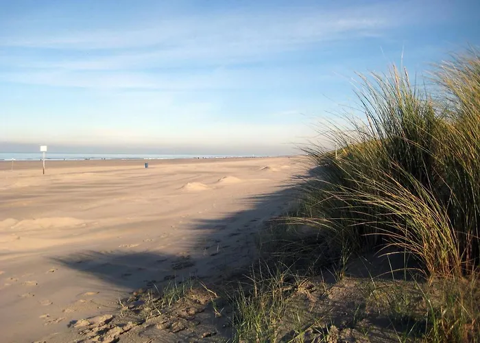 Apartament Vakantieappartementen Stuifkenszand *